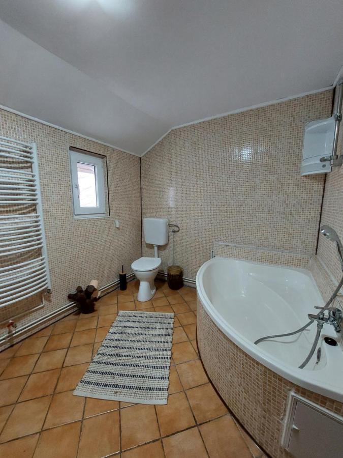 Casa Zaharia Apartament